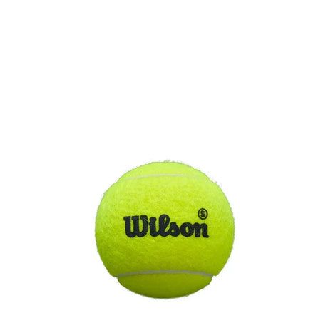 Wilson Premier Padel Speed Padelballen